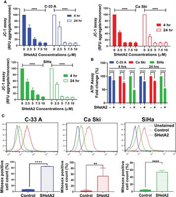 Distinct mechanism of cervical cancer cell death caused by the investigational new drug SHetA2